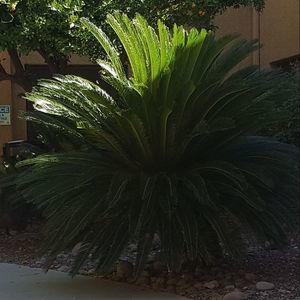 Meet your Posher, Darlene